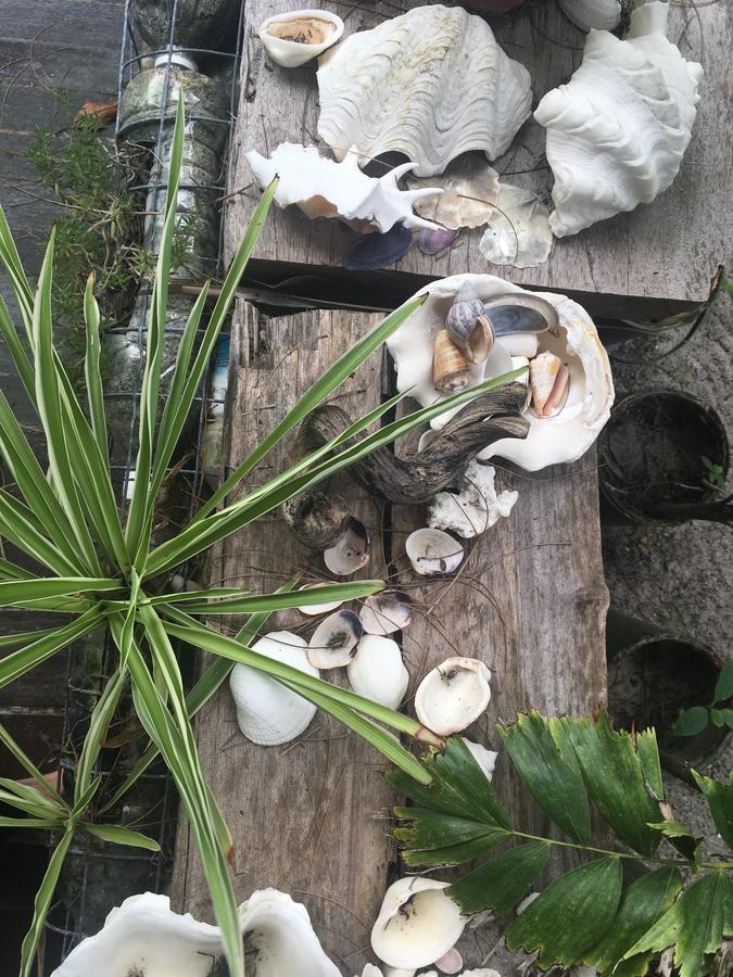 Greenhouse Ecolodge Pulau Mantani Bagian luar foto