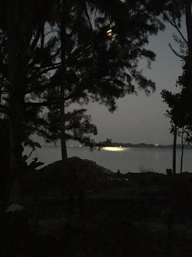 Greenhouse Ecolodge Pulau Mantani Bagian luar foto
